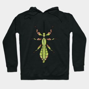 Male leaf insect Phyllium monteithi Hoodie